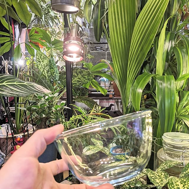 GINさんの部屋
