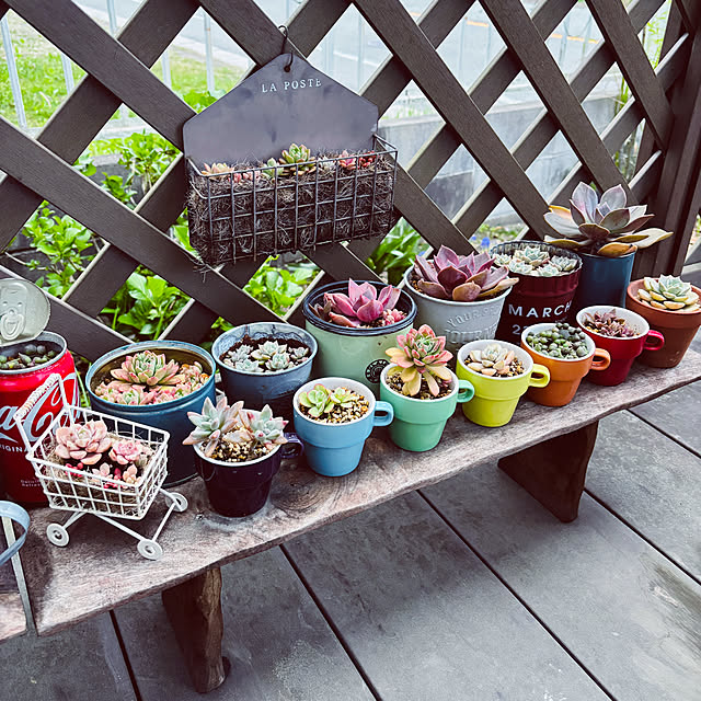 3setai_gurashiさんの部屋