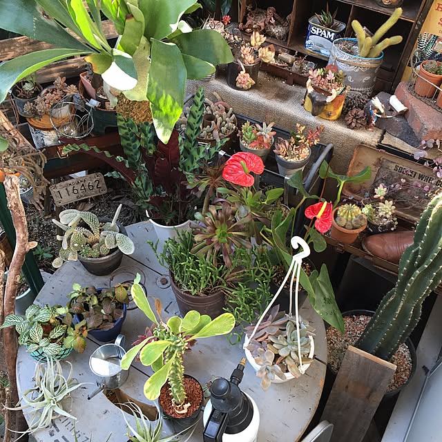 edenさんの実例写真