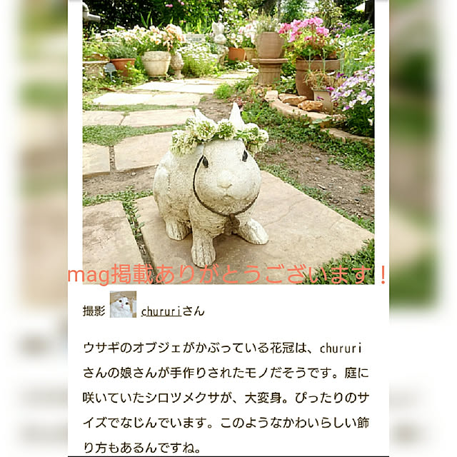 chururiさんの実例写真