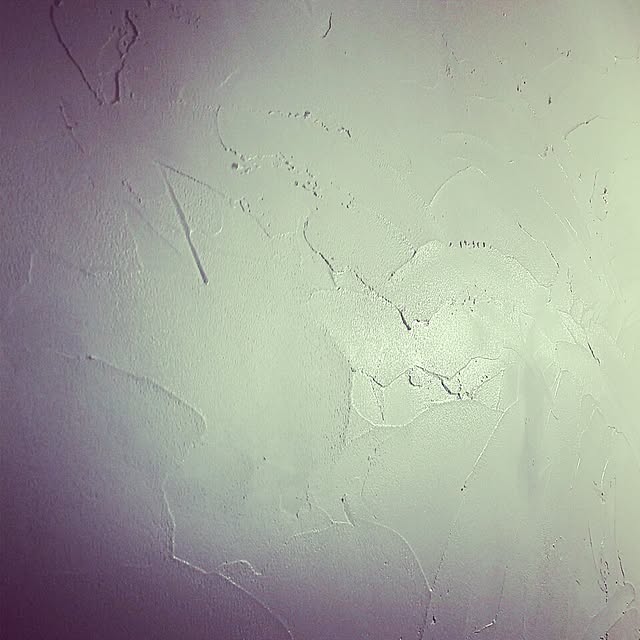 ikekazuさんの実例写真