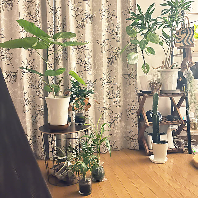TOTOTOさんの部屋