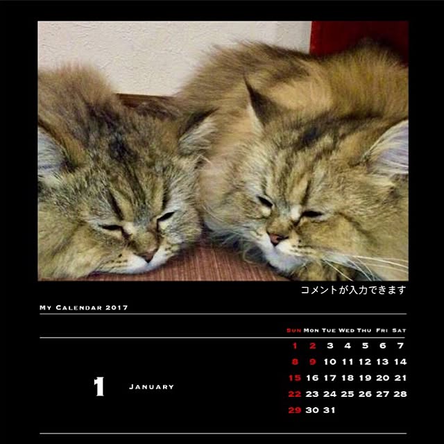 butachanさんの実例写真