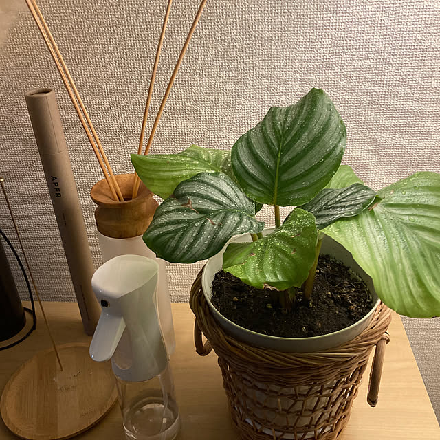 yumさんの実例写真