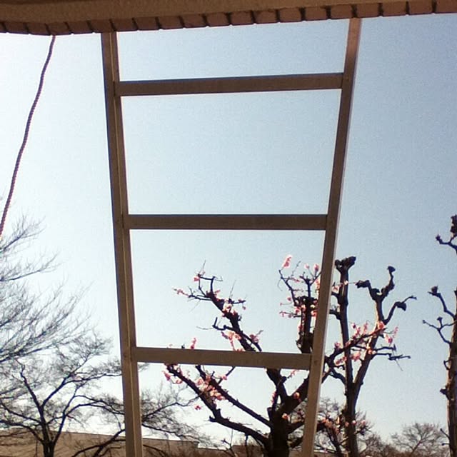 emichanbooさんの実例写真