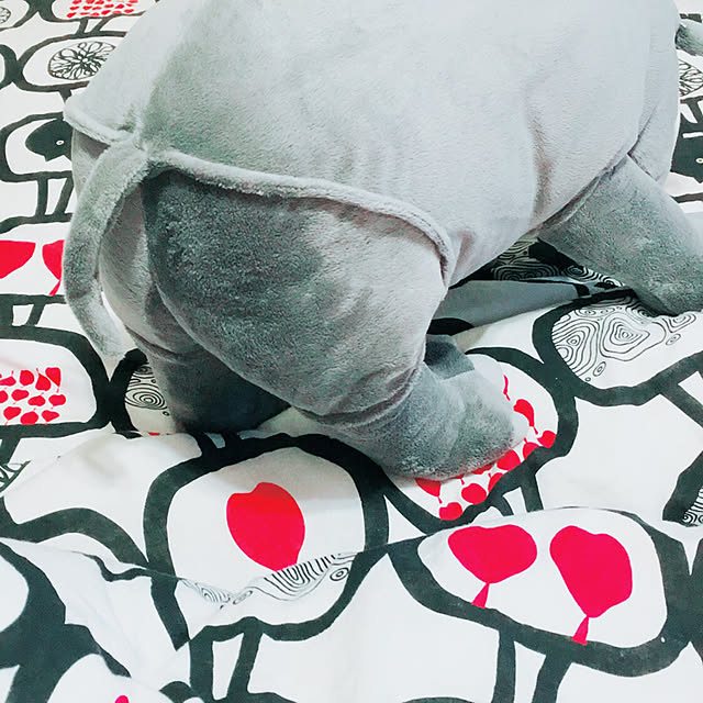 hiba_chicoさんの実例写真