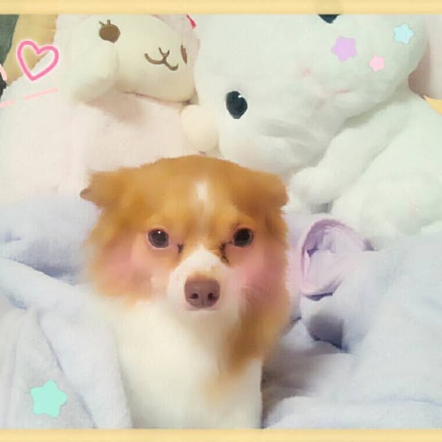 mikan0607さんの実例写真