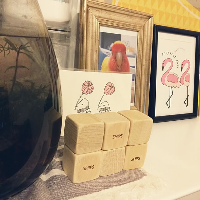 m-kinocoさんの実例写真