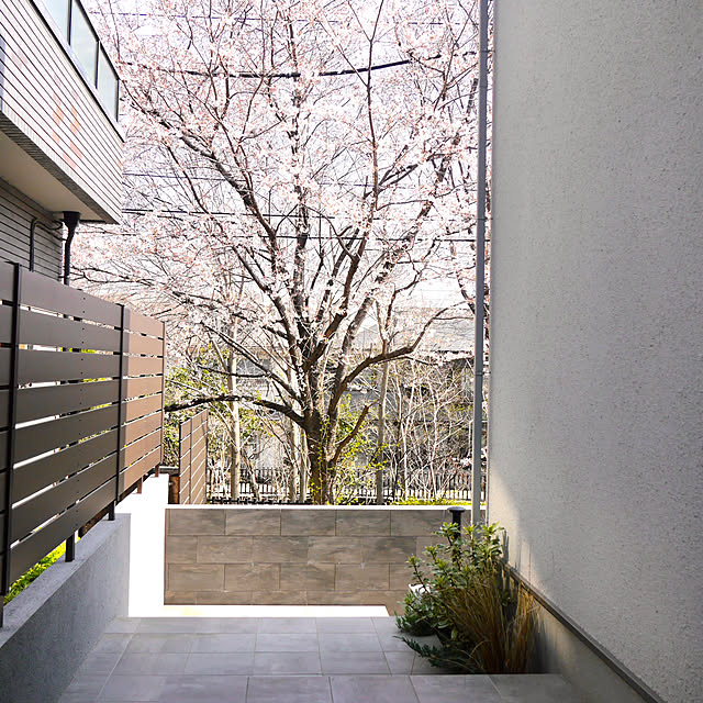Norikaさんの部屋