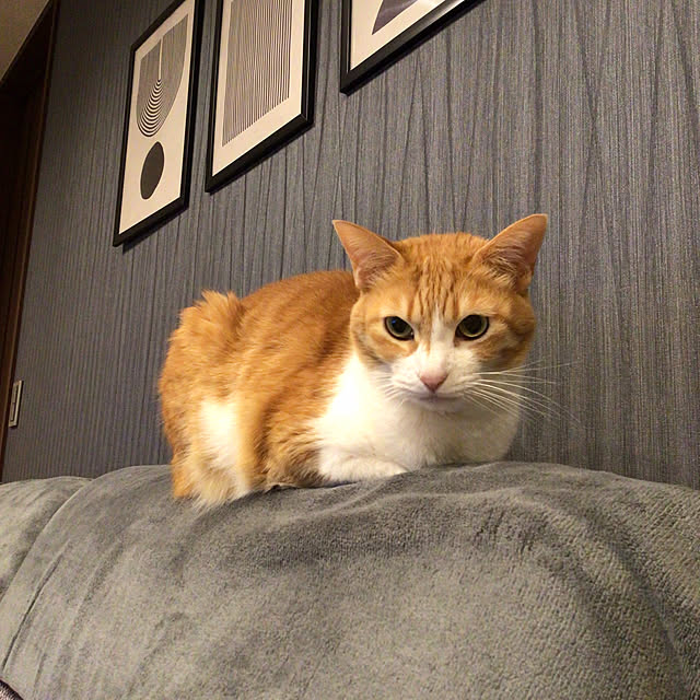 houenさんの部屋