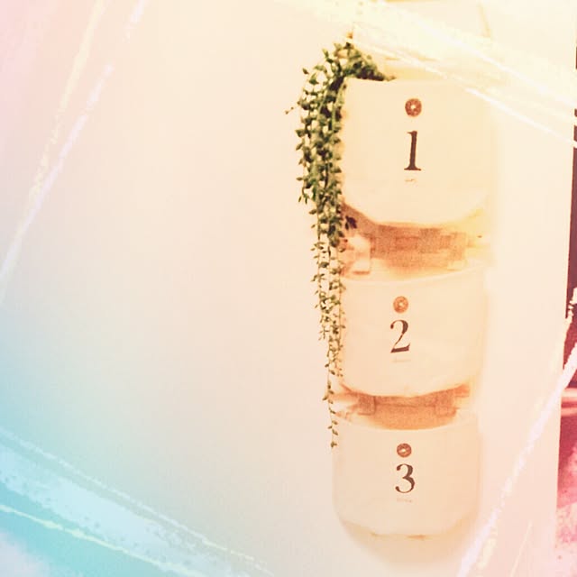 cloverさんの実例写真