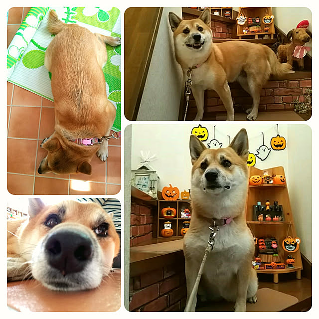 nanaさんの実例写真