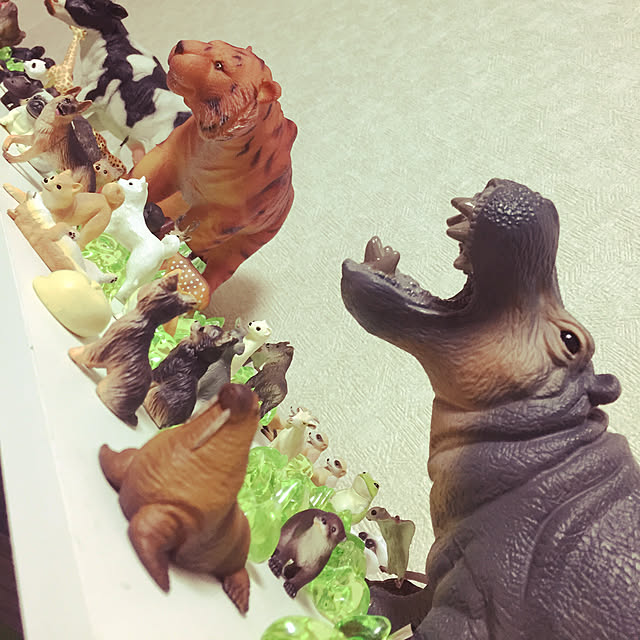 okaさんの実例写真
