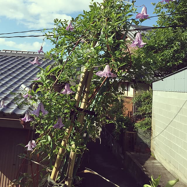 moririnさんの実例写真
