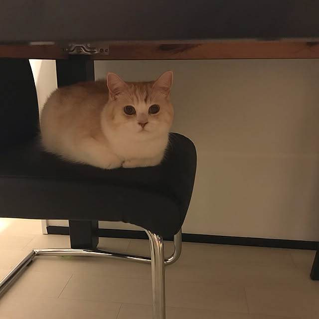 H.Tさんの実例写真
