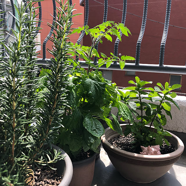 tomatoさんの実例写真