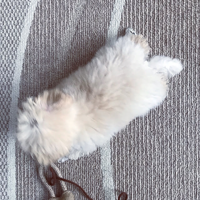 BUNさんの実例写真