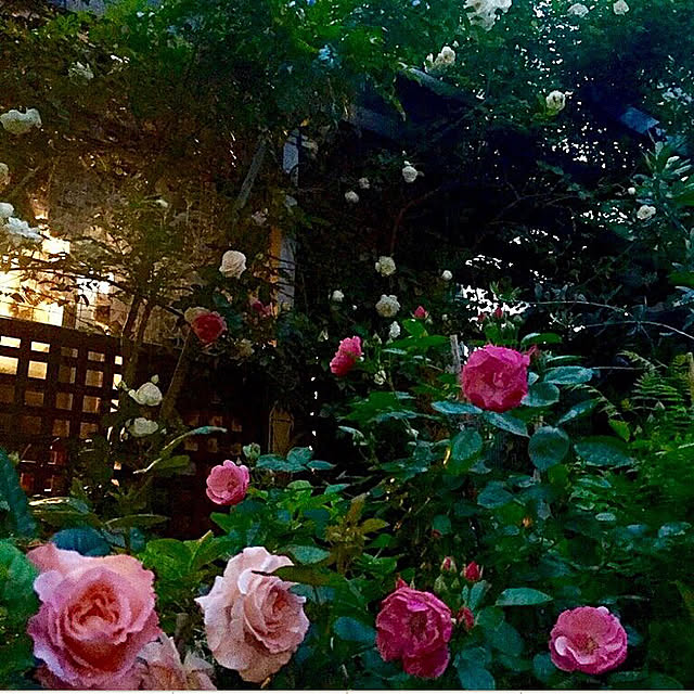 butachanさんの実例写真