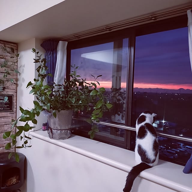 NOAHさんの実例写真