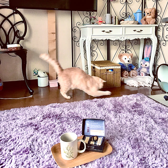 naokoさんの実例写真