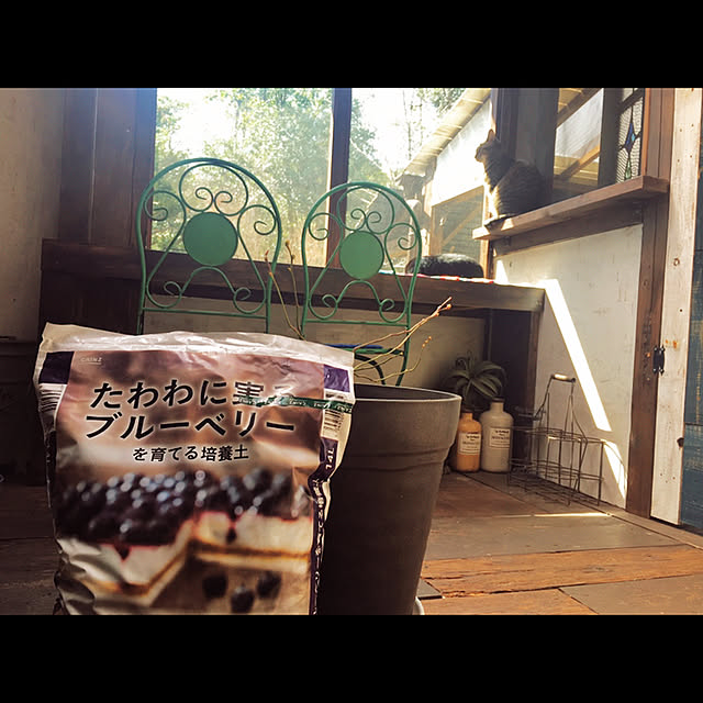 marusanさんの実例写真
