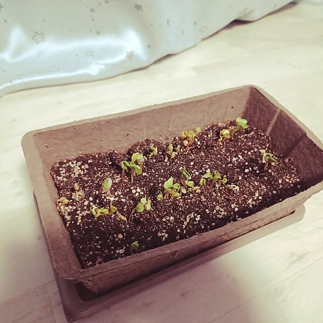 chimakiさんの部屋