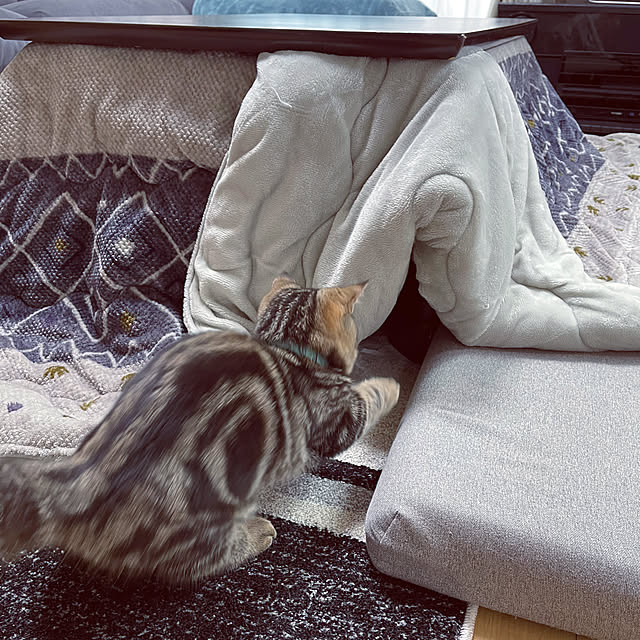 chiiさんの部屋