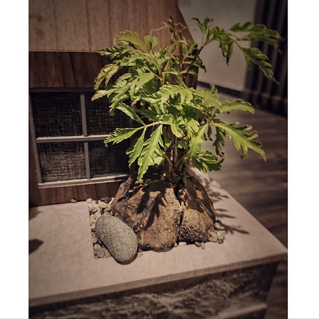 344_diy_furnitureさんの実例写真