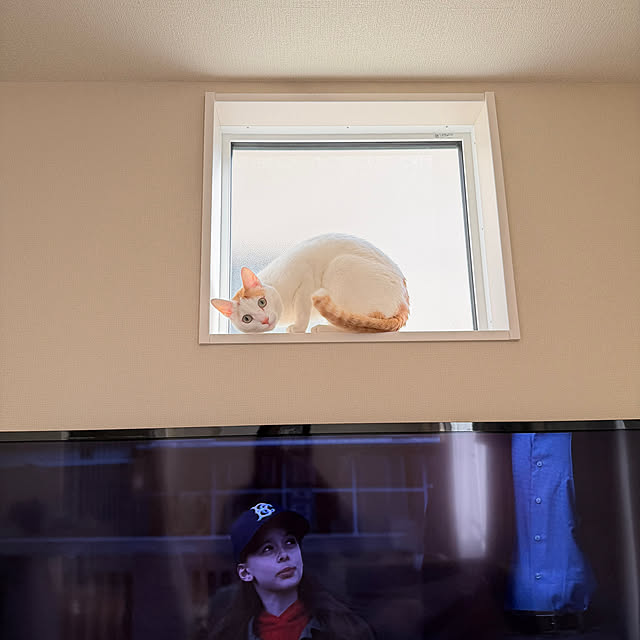 momoさんの実例写真