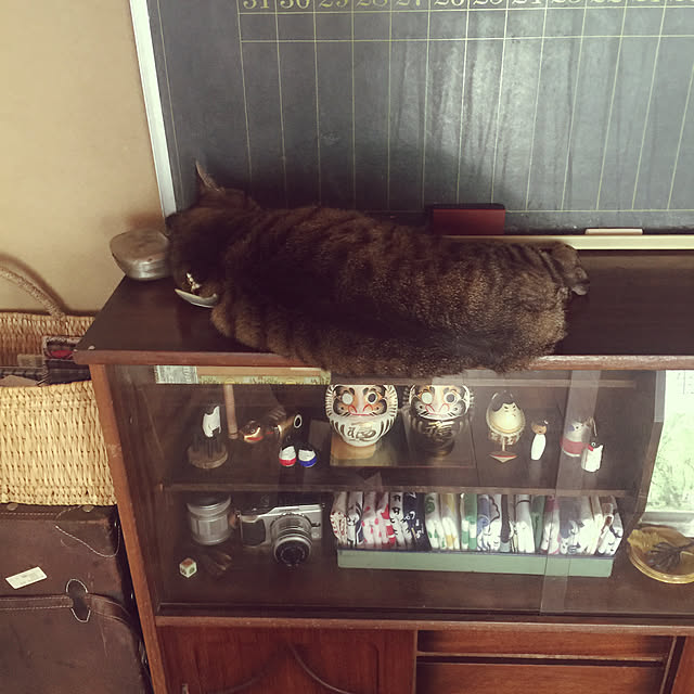 PEさんの実例写真