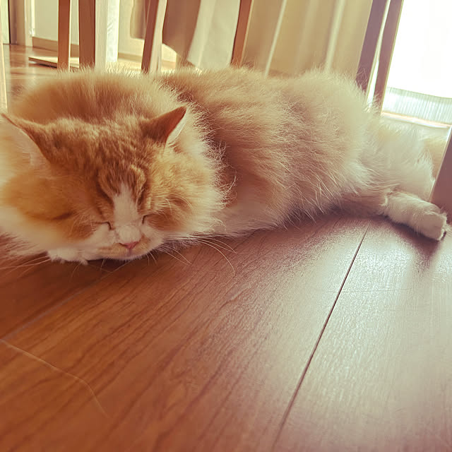 junさんの部屋