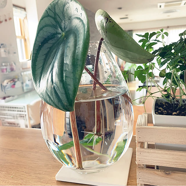 yumi.fさんの実例写真
