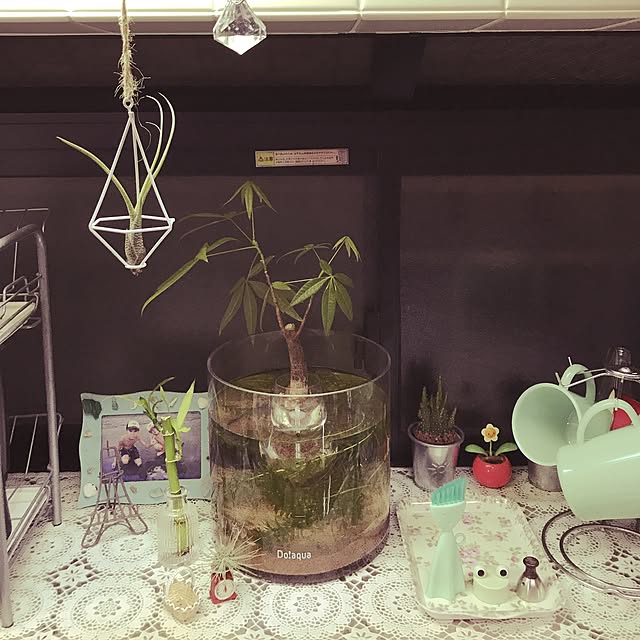 sumi.さんの実例写真