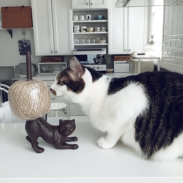 yuchiさんの実例写真