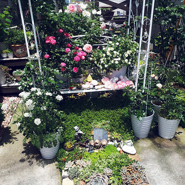 aiさんの実例写真