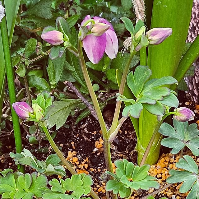 mocomocoさんの部屋