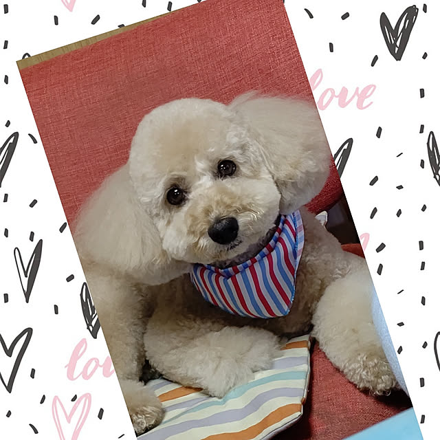 yumirinさんの実例写真