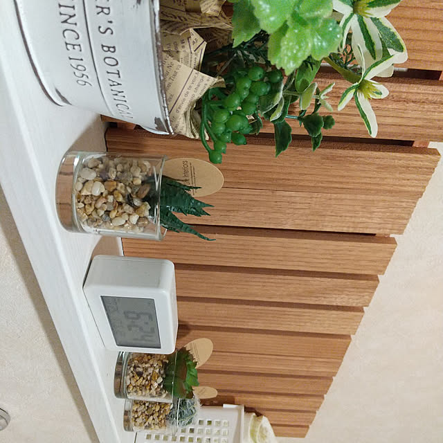 バス/トイレ/セリア/ダイソー/観葉植物/100均のインテリア実例 - 2020-12-07 18:22:12