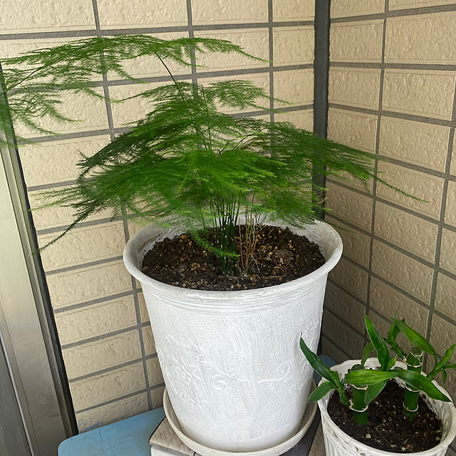 YuuKoさんの部屋