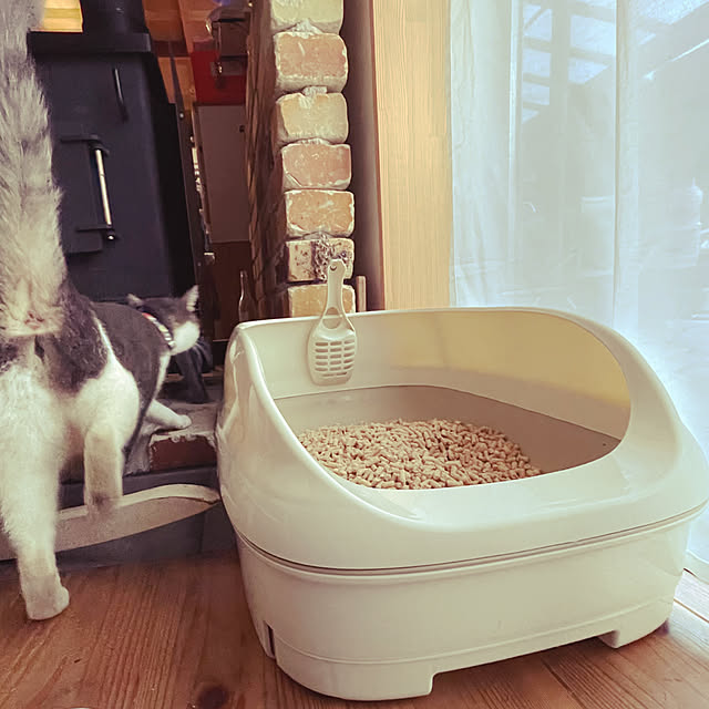 nekosamaさんの部屋