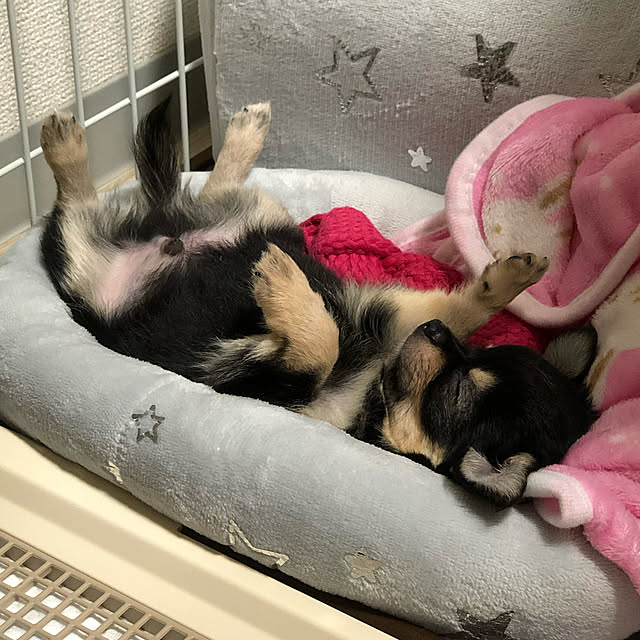 melmelさんの実例写真