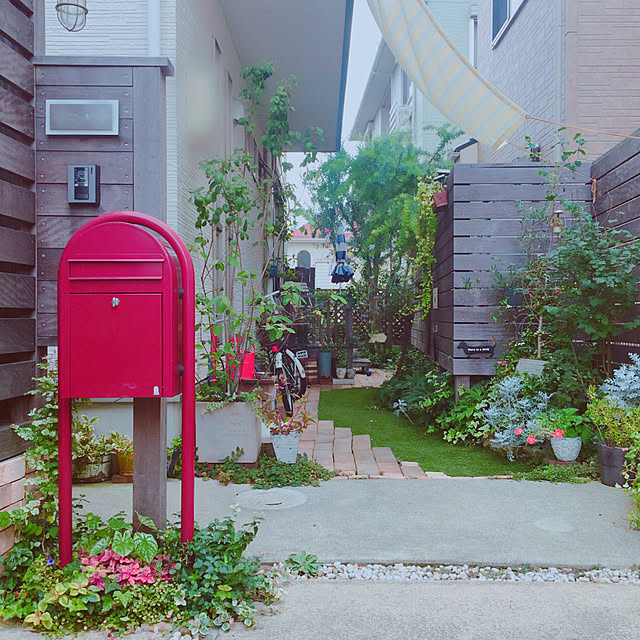 risaさんの実例写真