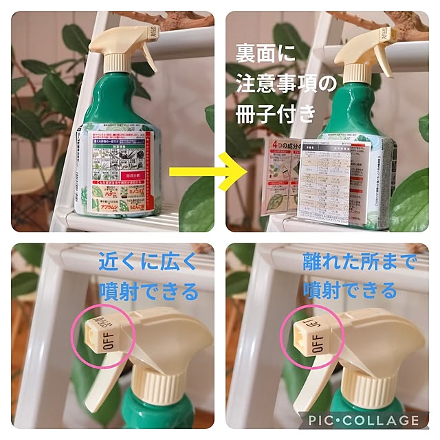 Haさんの部屋