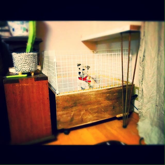 Mayumiさんの実例写真