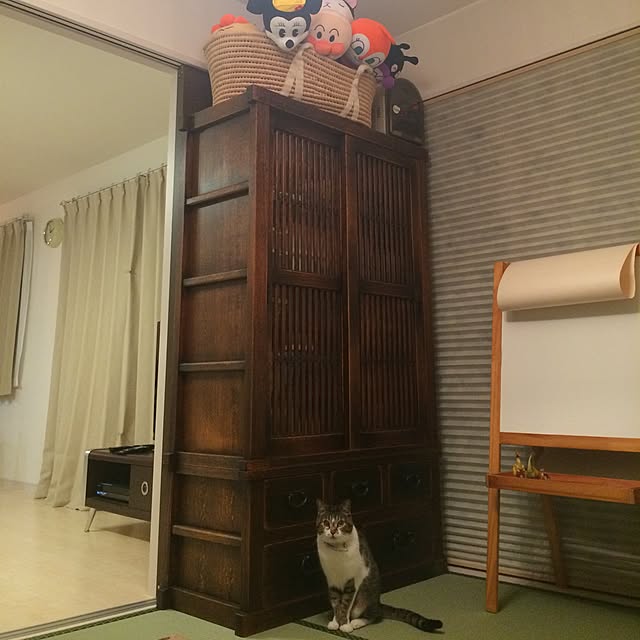 shaolicoさんの実例写真