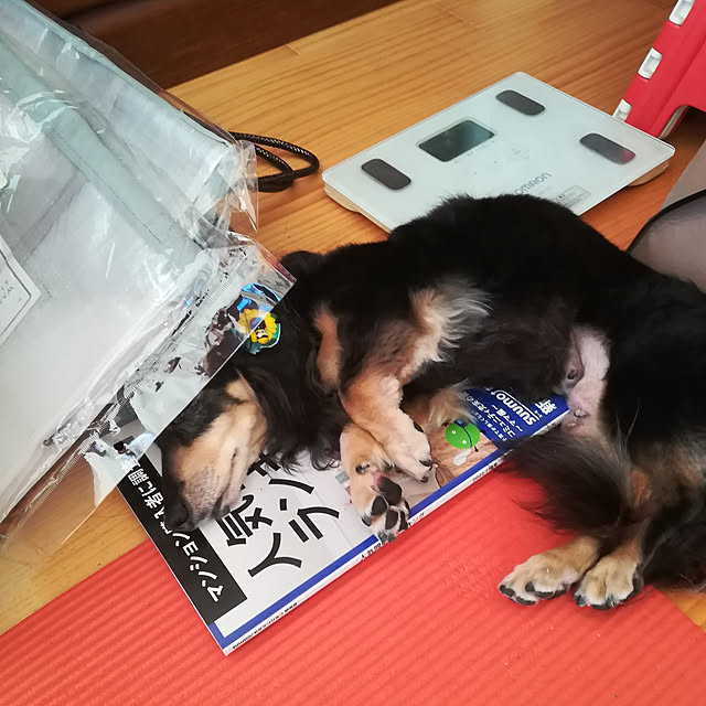 coco1204さんの実例写真