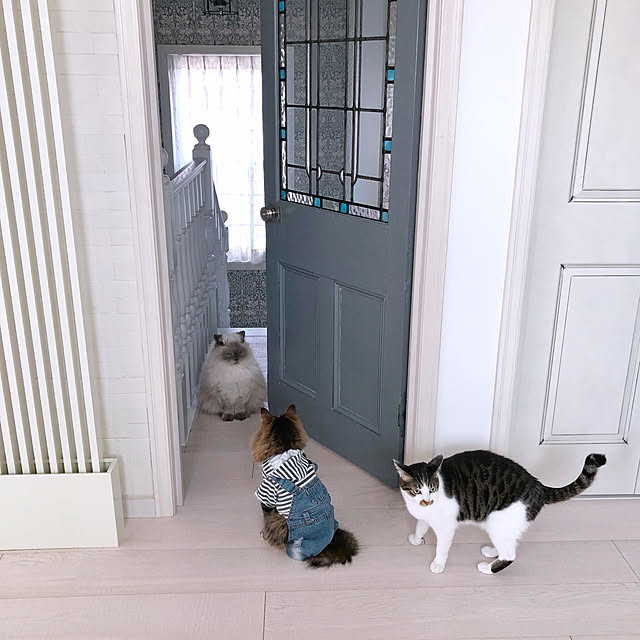 yuchiさんの実例写真