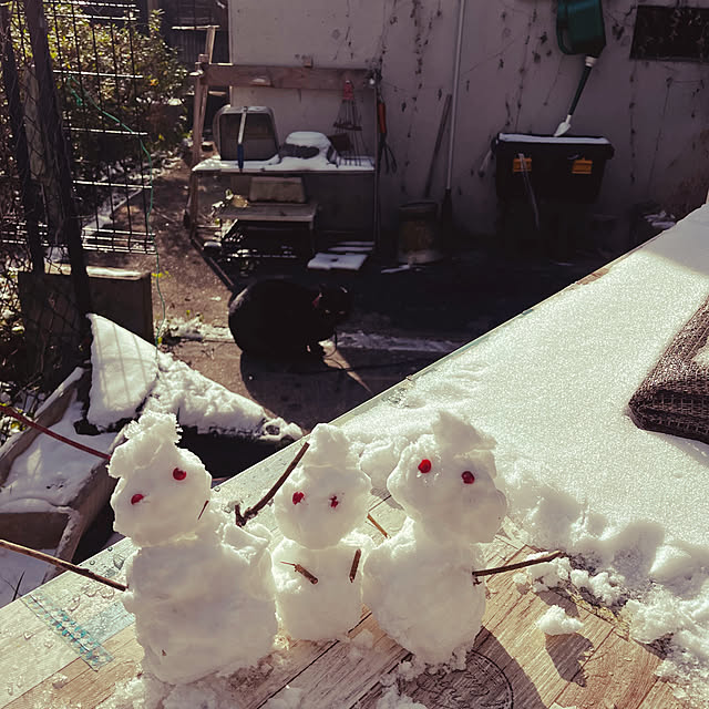 jijiさんの実例写真