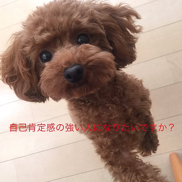 cherryさんの実例写真