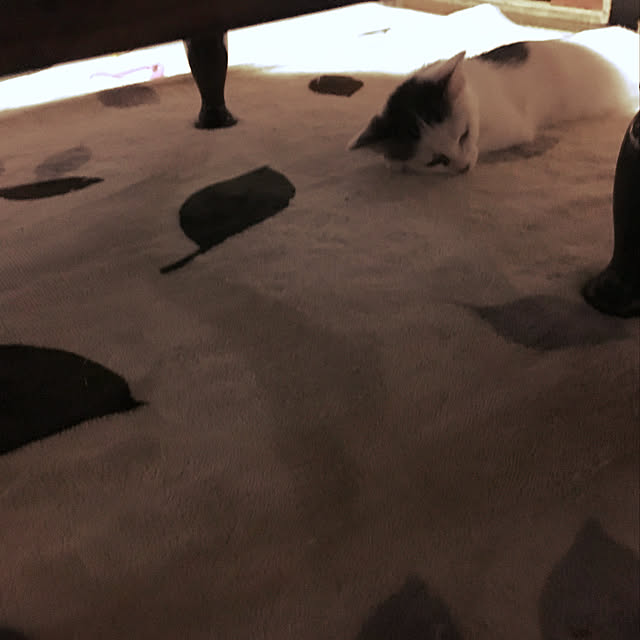 mametaro1230さんの実例写真